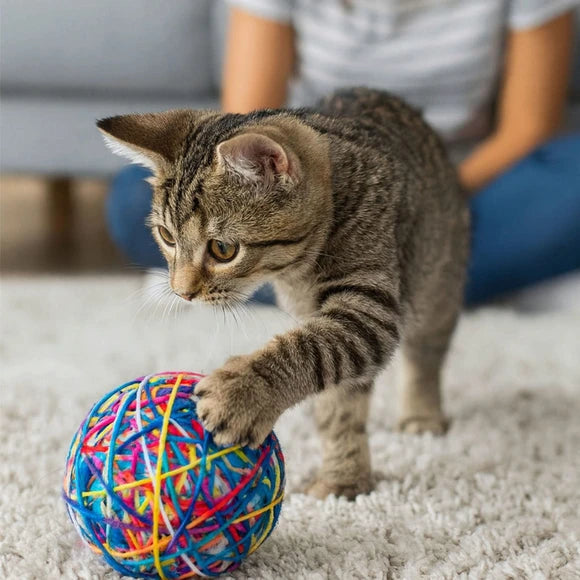 4" Jumbo Yarn Ball Pet Cat Toy with Bell (3 PACK)